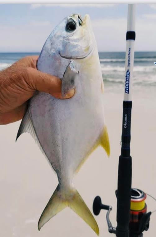 Fishbites® Signature Series Surf Rods